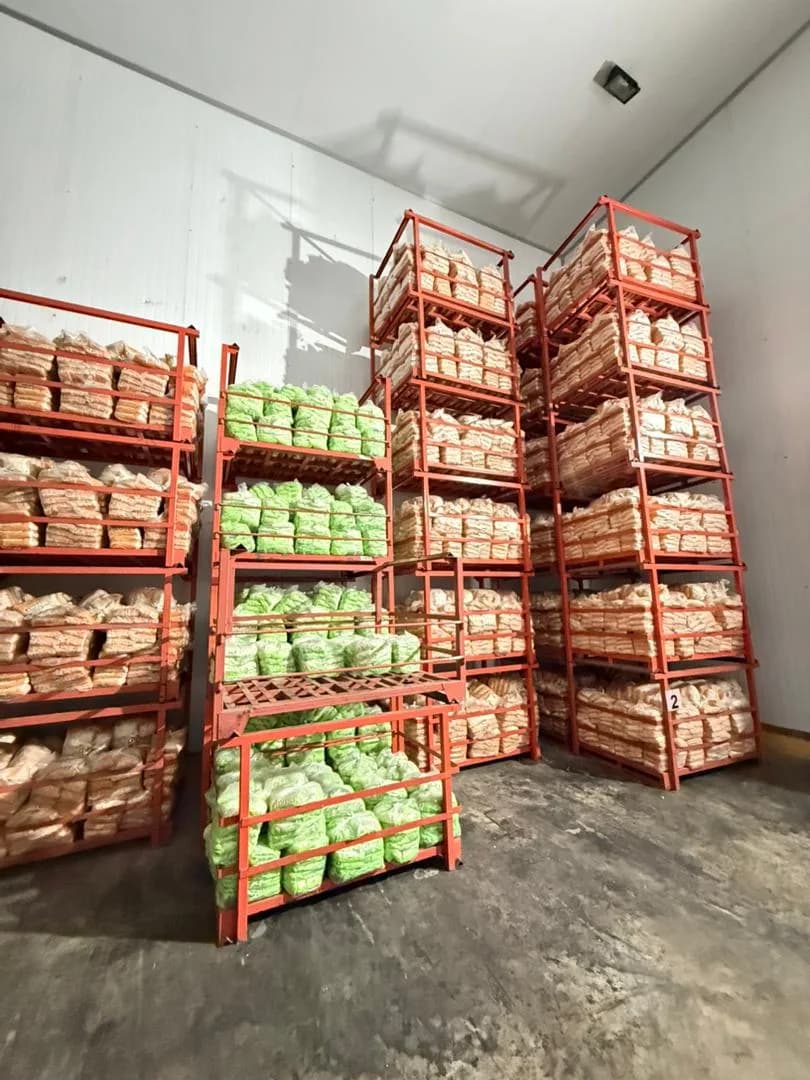 Racks of vacuum-packed fresh peeled garlic in the BLP Fresh Pack cold storage facility